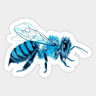 Blue Bee Sticker